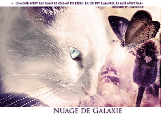 Nuage de Galaxie