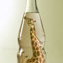 Preserve giraffe