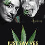 Just say Yes