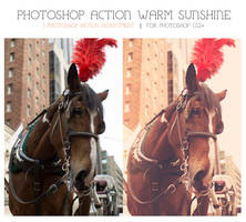 Photoshop Action - Warm Sunshine