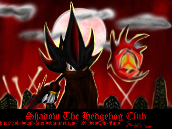 Shadow the hedgehog ID by NitroburnerX on DeviantArt