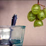 stop killing grapes