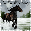 PureBredDressage