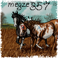 megze357