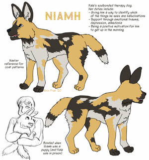 Good Dog reference sheet