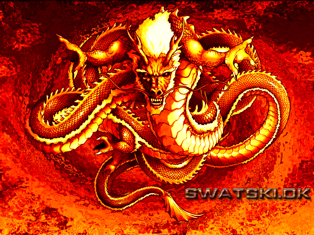 fire dragon wallpaper chinese