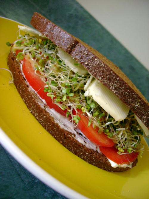 SPROUTY SAMMICH