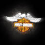 Harley Davidsons