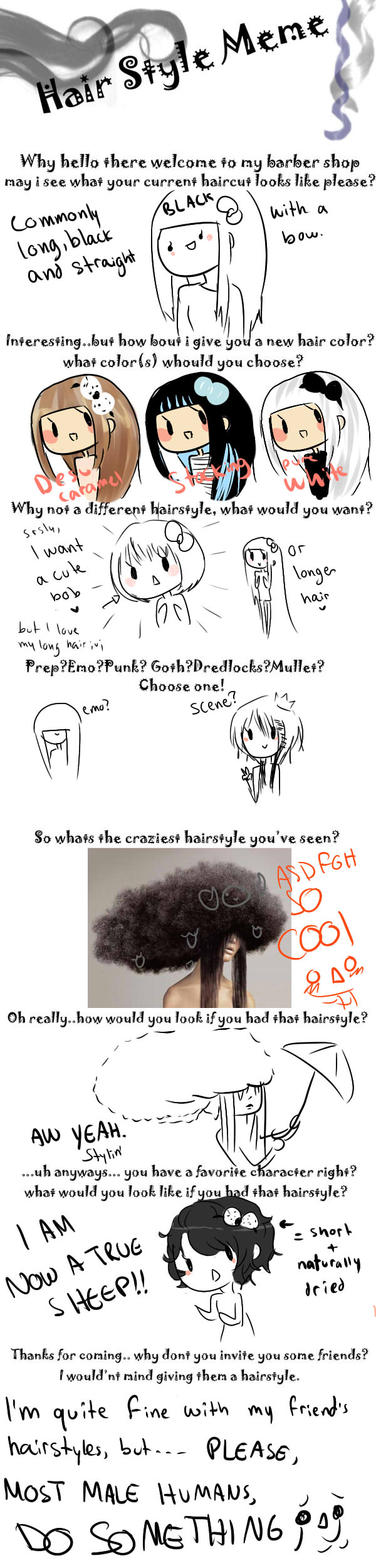 Hairstyle Meme