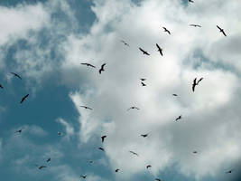 Dotting The Sky stock