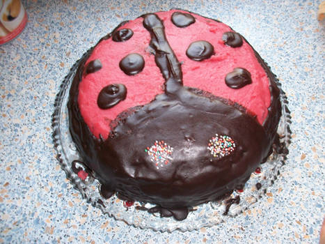 Ladybug Cake