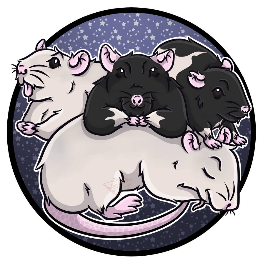4 Rats Together Logo ~ My 4 rats... by Cophelie on DeviantArt