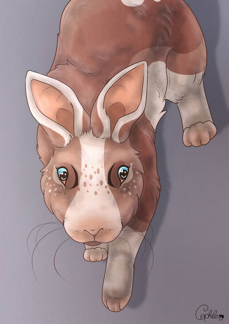 Bored Rabbit Deviantart Little rabbit, Artfight 2024 by Cophelie on DeviantArt