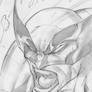 Wolverine Sketchshot