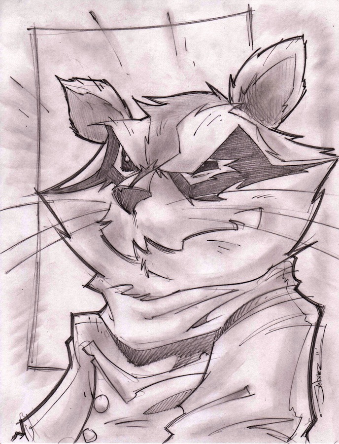 Rocket Raccoon Sketch Shot