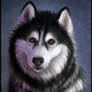 Malamute Matters Charity Auction Prize