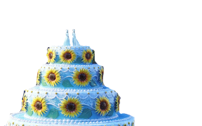 Frozen Fever Cake Clipart