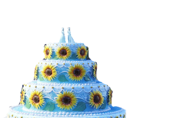 Frozen Fever Cake Clipart