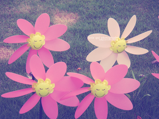 happy flowers