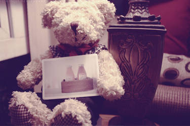 of teddies and photos 2