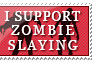 I Support Zombie Slaying