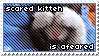 LOLcat Stamp 4