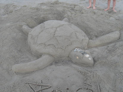 Turtle In The Sand