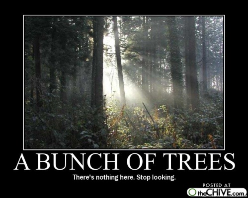 Bunches of trees