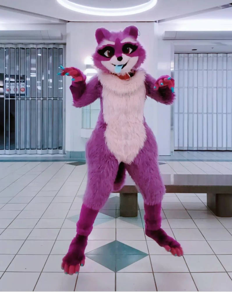 Rezo The Racoon Image Of Zee The Raccon by Daniel746 on DeviantArt