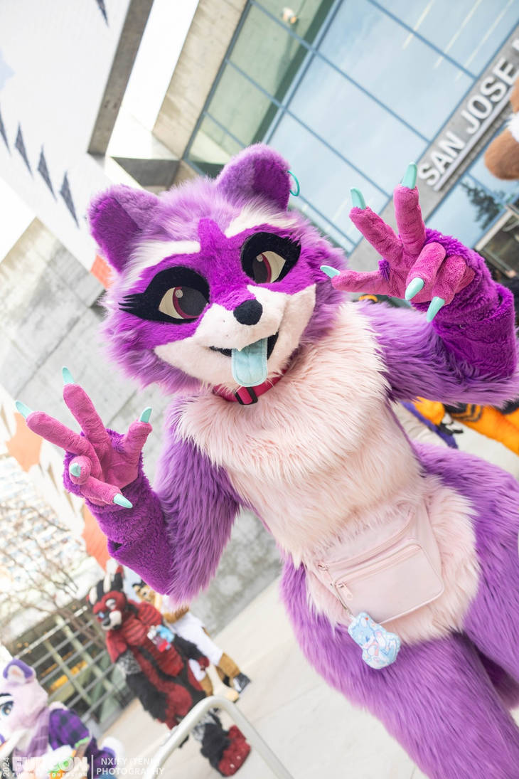 Rezo The Racoon Image Of Zee The Raccoon #2 by Daniel746 on DeviantArt