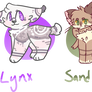 more adopts