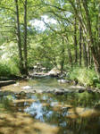 The stream by Twimper