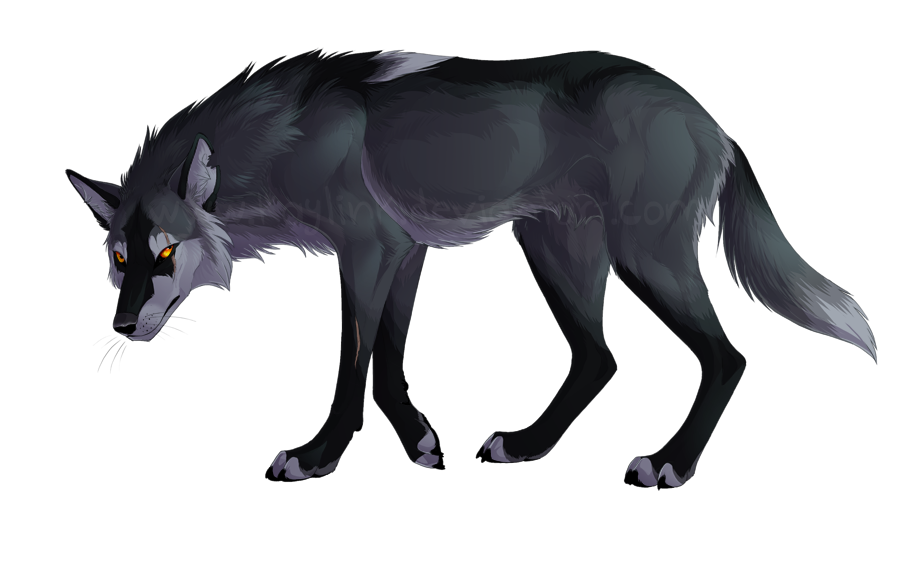 Canis-Ferox Commission 1