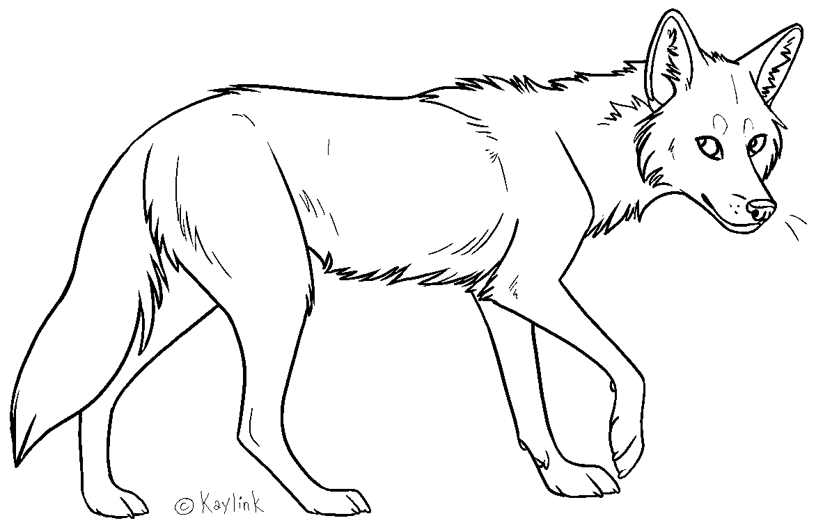 Coyote Lineart