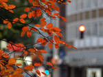 automn in the city by hanghuhn