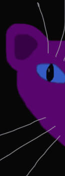 Purple Cat