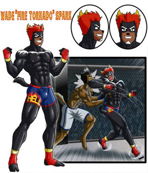 Wade
