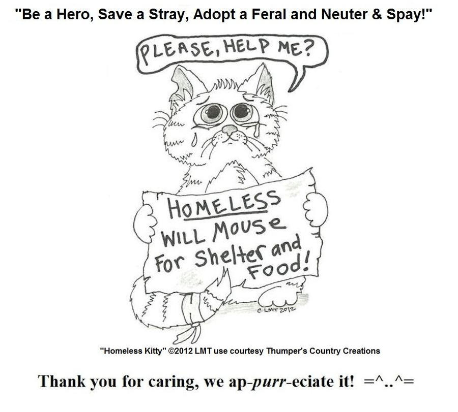 Homeless Kitty Sketch Turned Poster