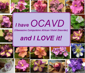 OCAVD Obsessive Compulsive African Violet Disorder