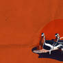 Red-Breasted Geese