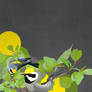 Golden-winged Warblers