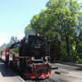 Harz-Bulle