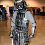 Samuri Vader