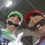 SUPER MARIO BROS. LUIGI Y MARIO