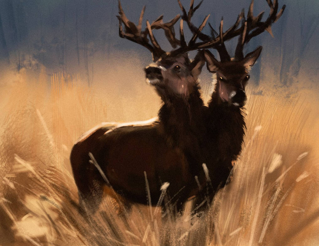 Two headed deer by hi-shiro on DeviantArt