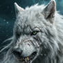 The Ghost Wolf