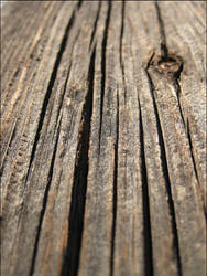 Wood 2