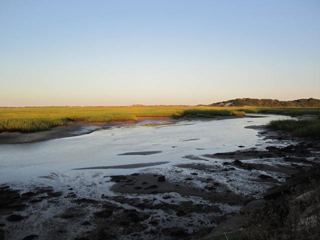 Low Tide Marsh