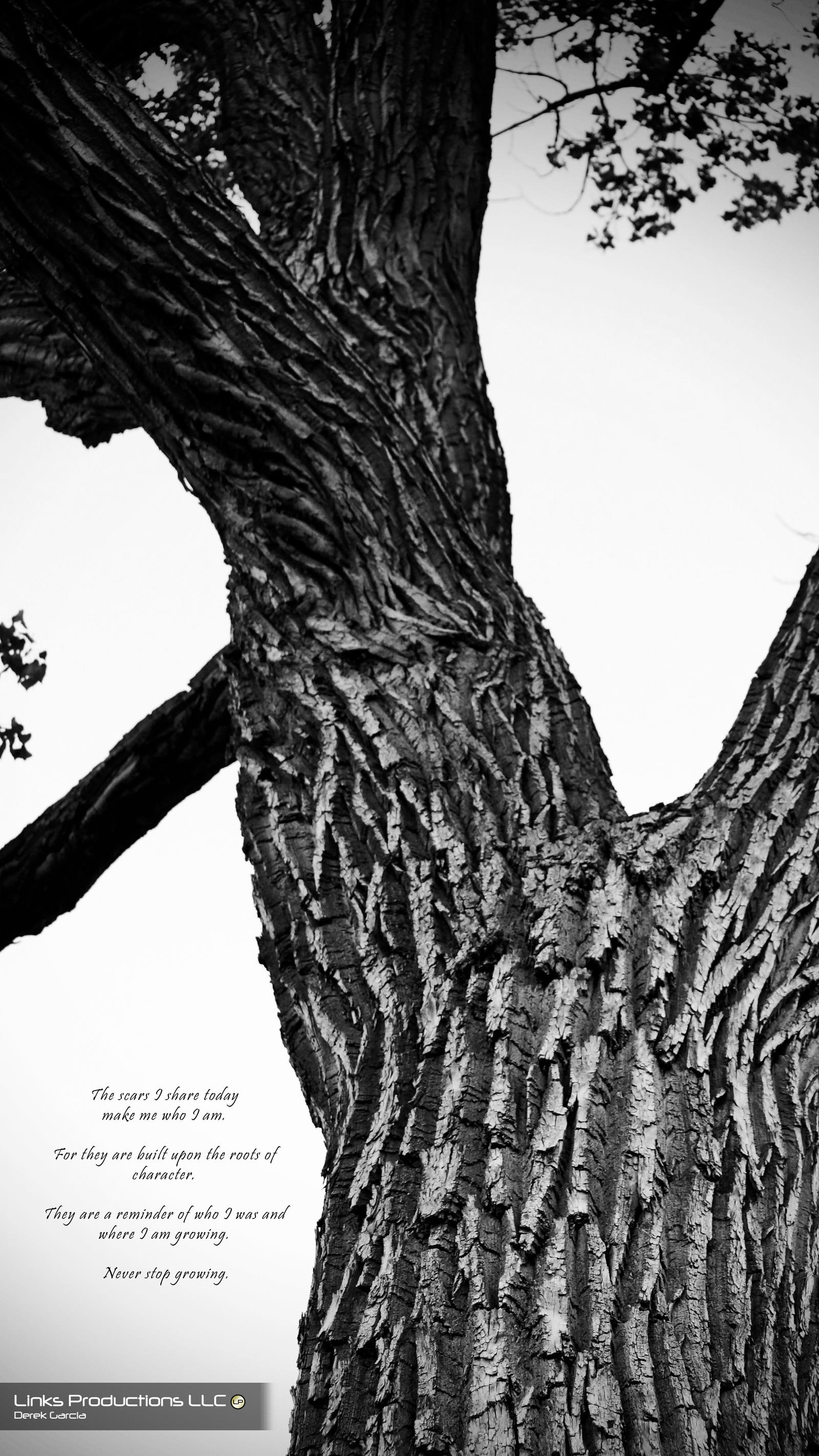 BW tree by LinksProductions on DeviantArt