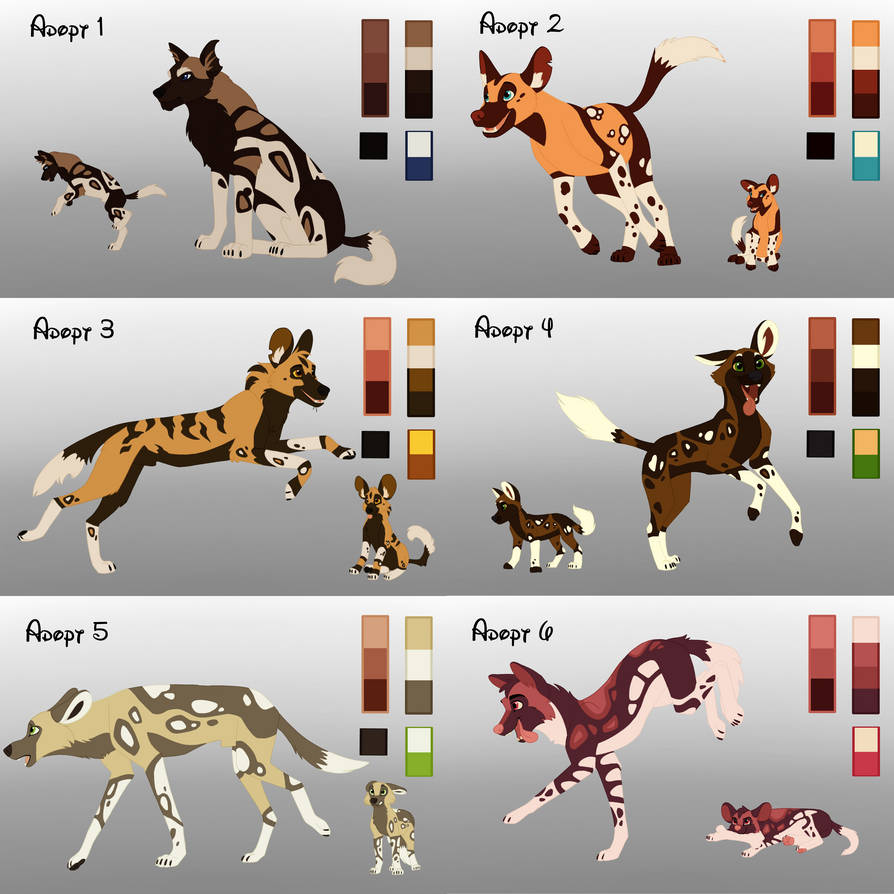 African Wild Dog Adopt By JuaTheLion On DeviantArt african-wild-dog-adopt-by-juathelion-on-deviantart